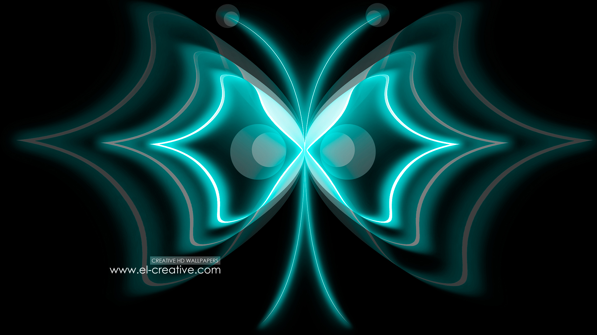 Abstract Butterfly Turquoise Neon HD Wallpaper Design By Tony