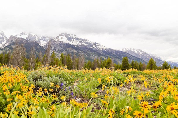 Spring In The Tetons Traveler Photo Contest National