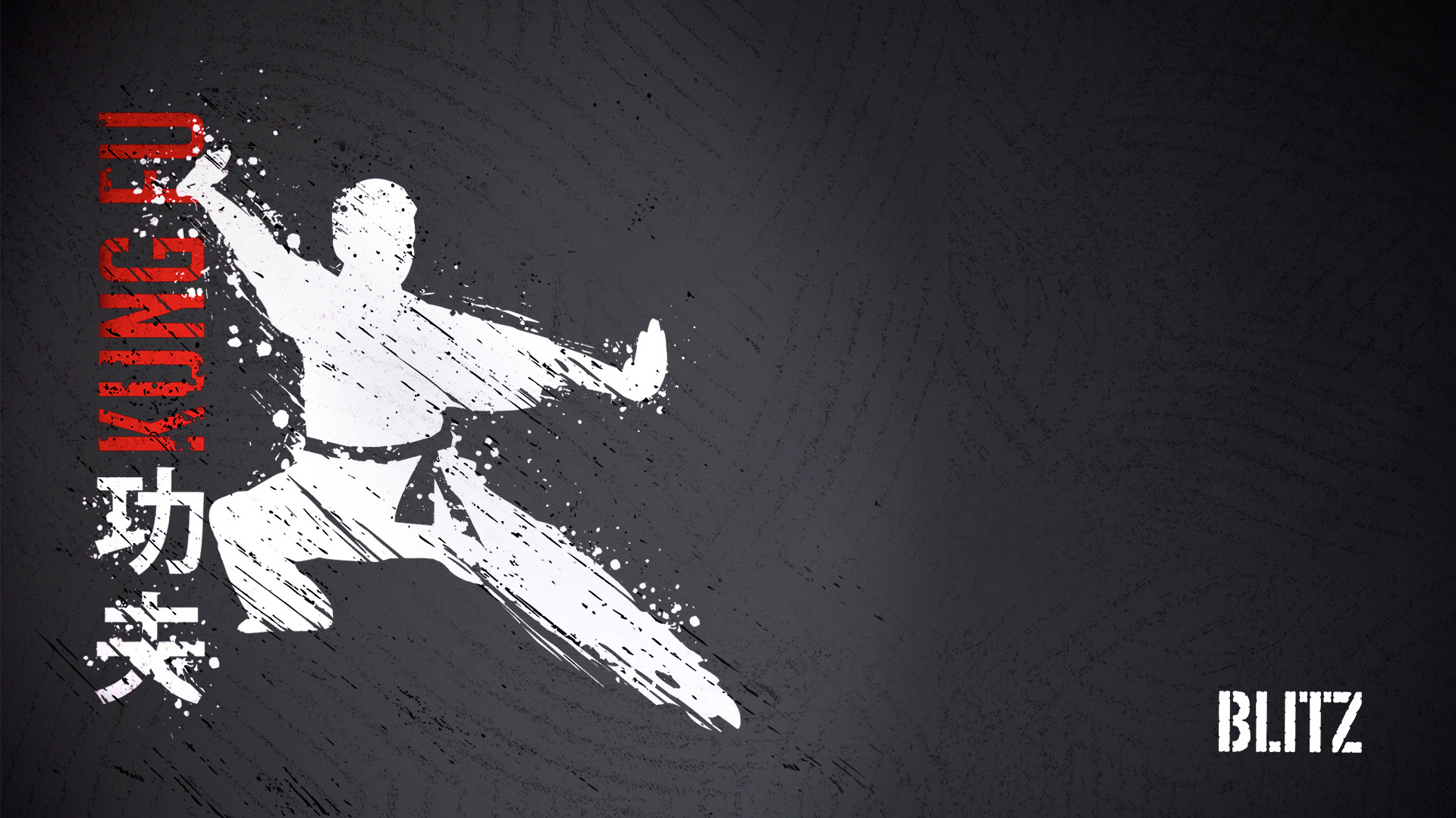 A dynamic silhouette of a Kung Fu practitioner mid-stance against a textured dark background, embodying the power and grace of the martial art
