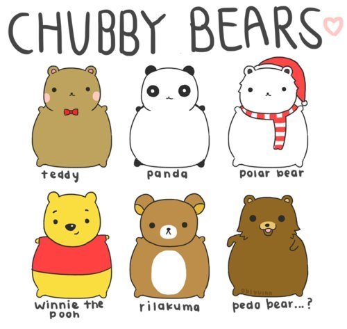 Bear Bears Chubby Cute Kawaii Panda Polar Rilakuma Teddy