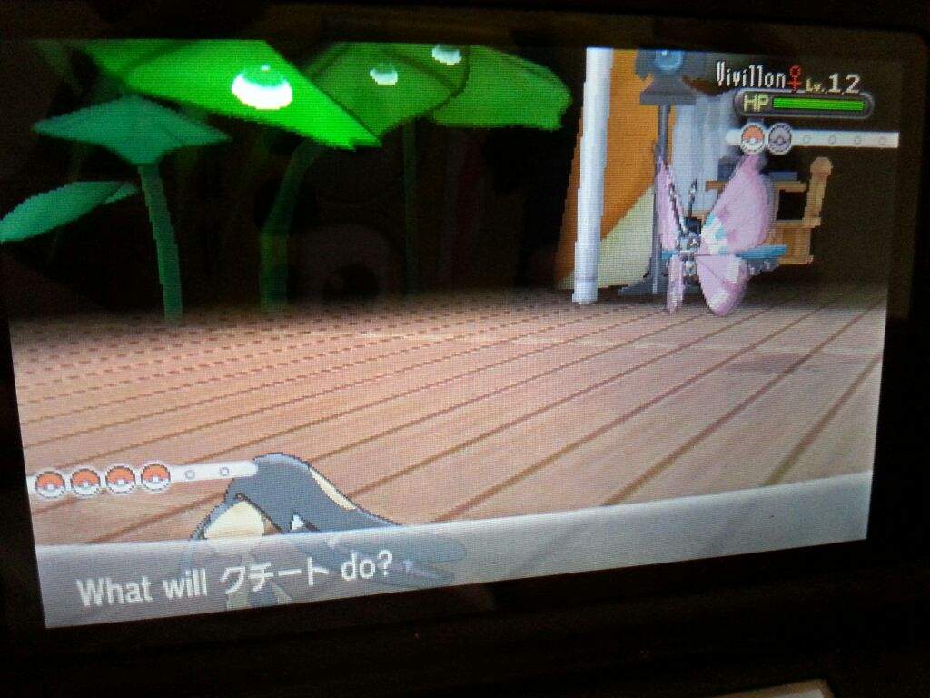 Wonder Coin Nuzlocke Part Pok Mon Amino