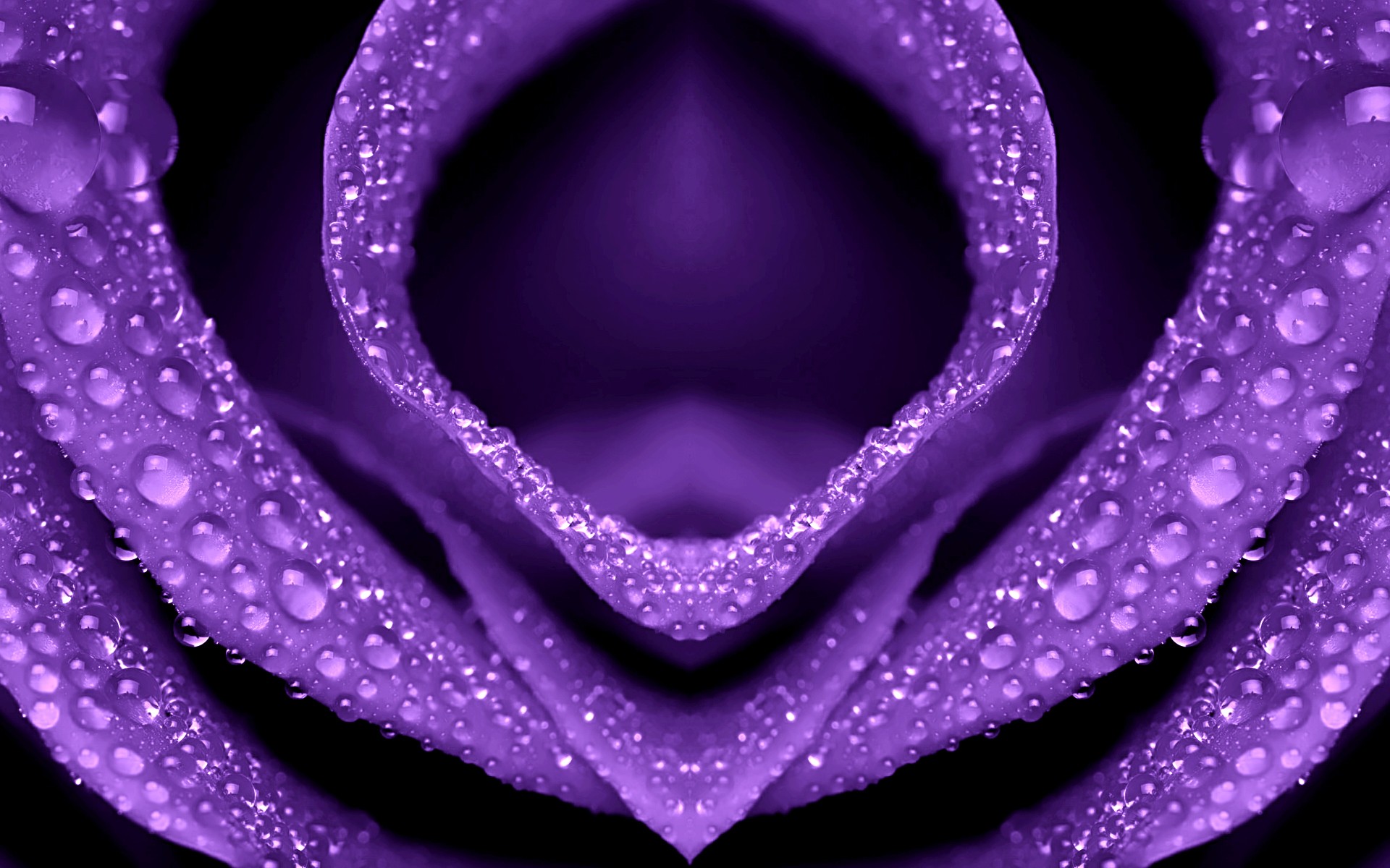 Purple Flower Exclusive HD Wallpaper