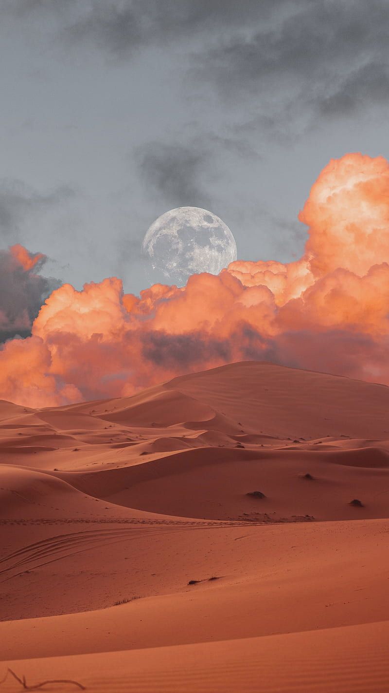 Desert Aesthetic Wallpaper