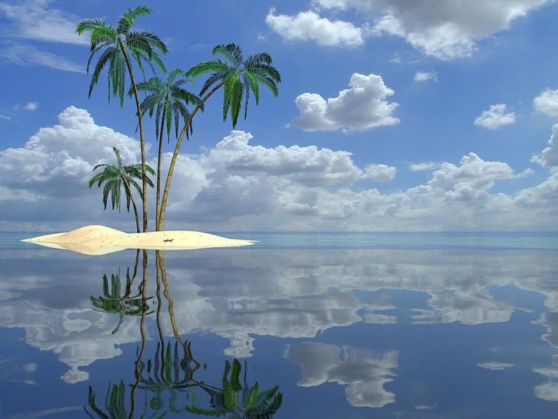 Grey Olltwit Software Tropical Paradise Desktop Background
