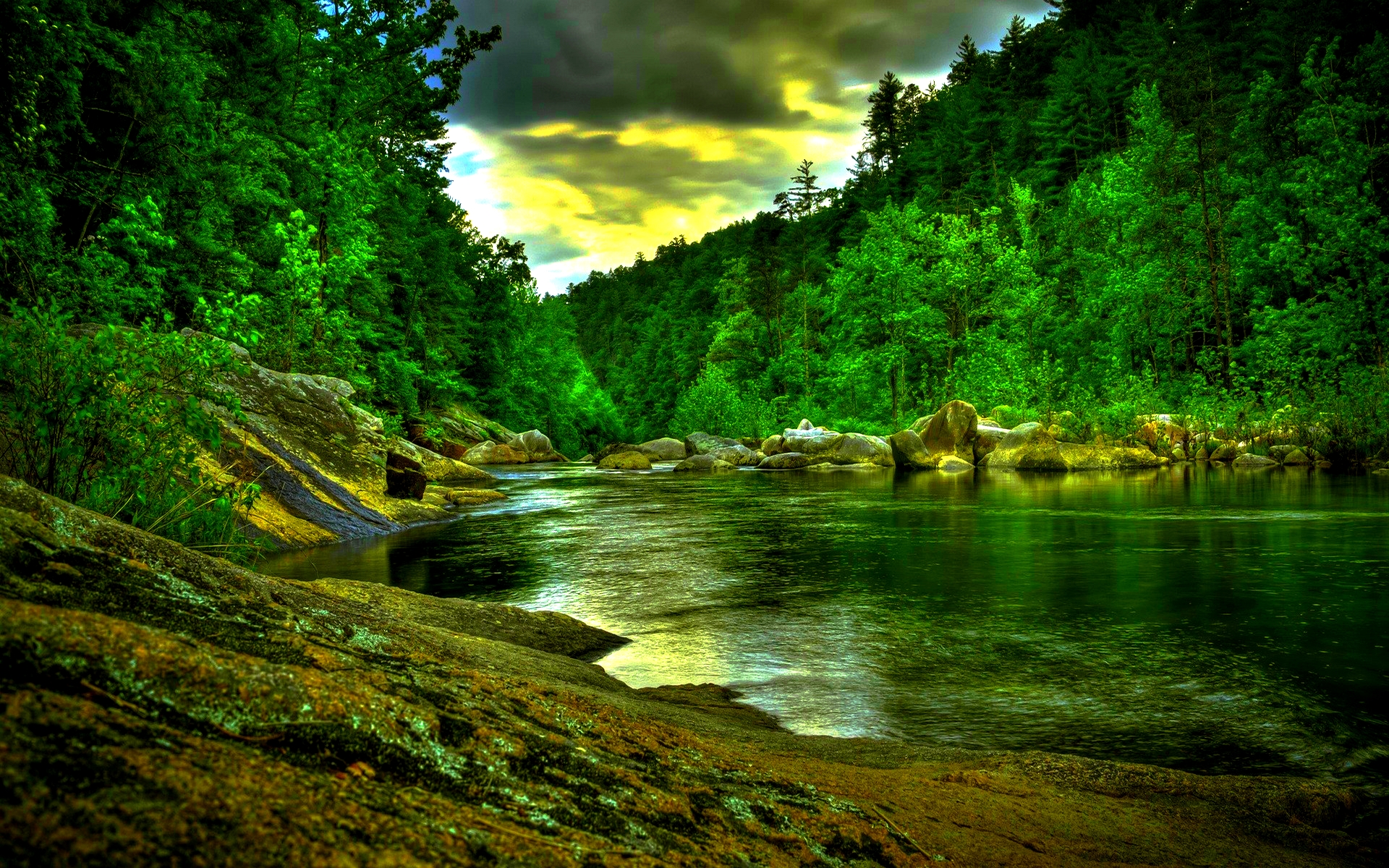 Serene river flowing through a lush green forest, ideal for nature-themed wallpapers