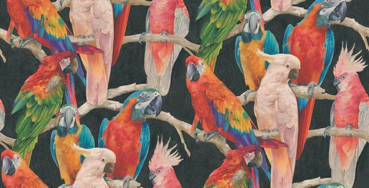 Parrots Albany Wallpaper A Raised Textured Vinyl