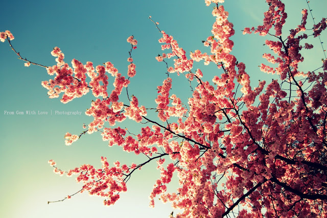 Spring Wallpaper And Background For Your Puter
