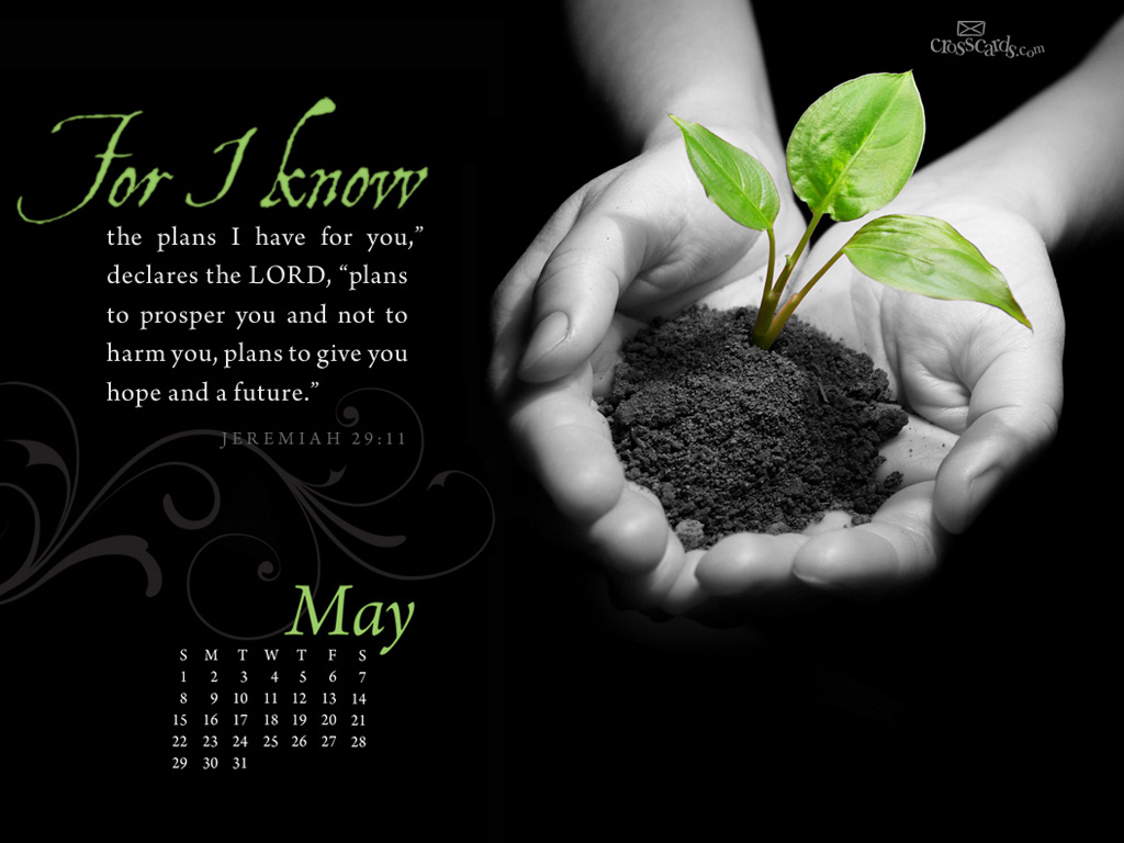 Know The Plans Wallpaper Christian May