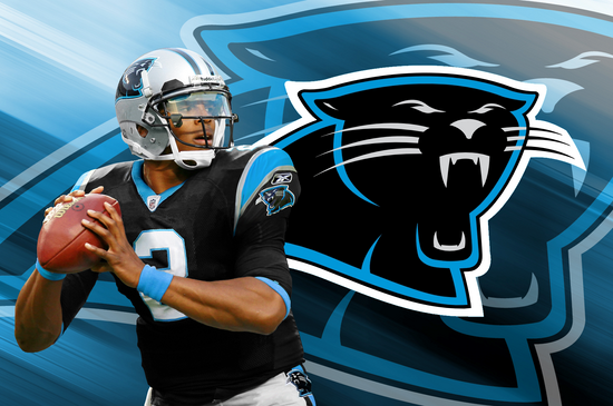 Bunch Of High Quality HD Background To This Theme Panthers Wallpaper
