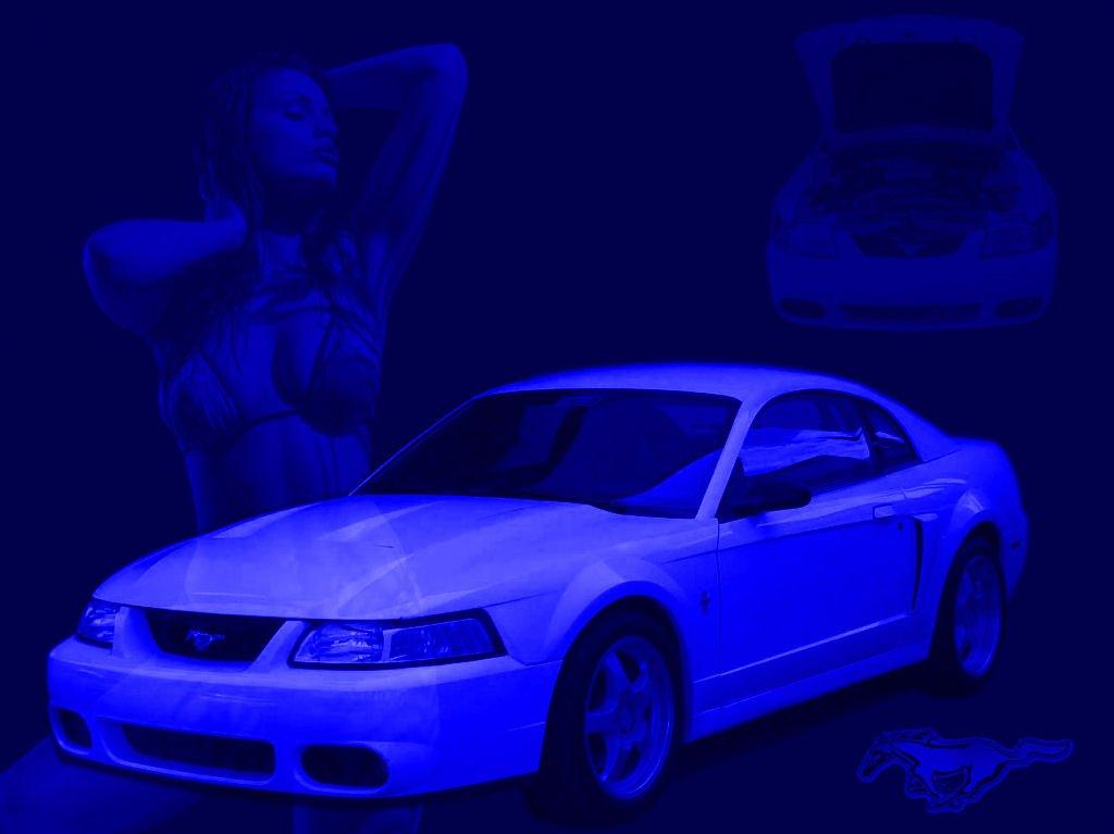Sexy Mustang Wallpaper Ford Forum