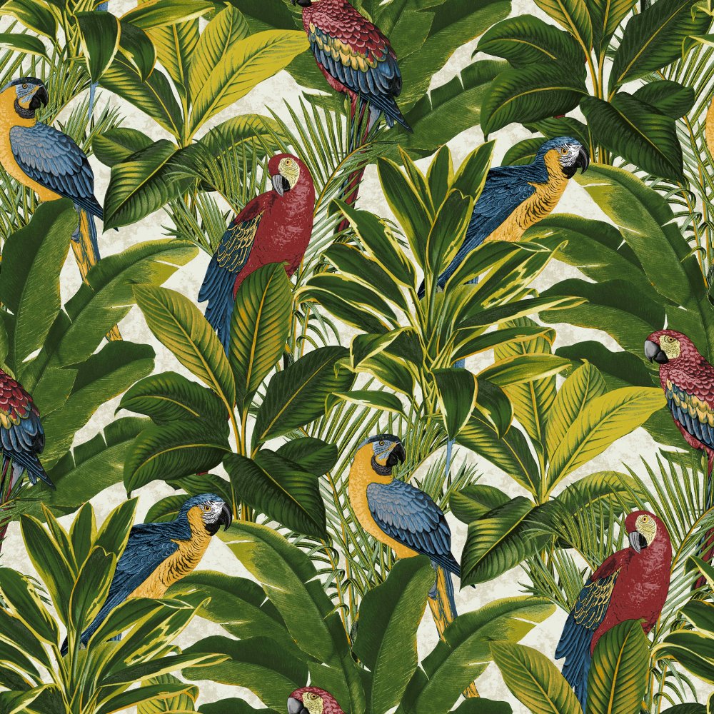  Exotic Bird Pattern Parrot Motif Tropical Leaves Wallpaper A11502 1000x1000
