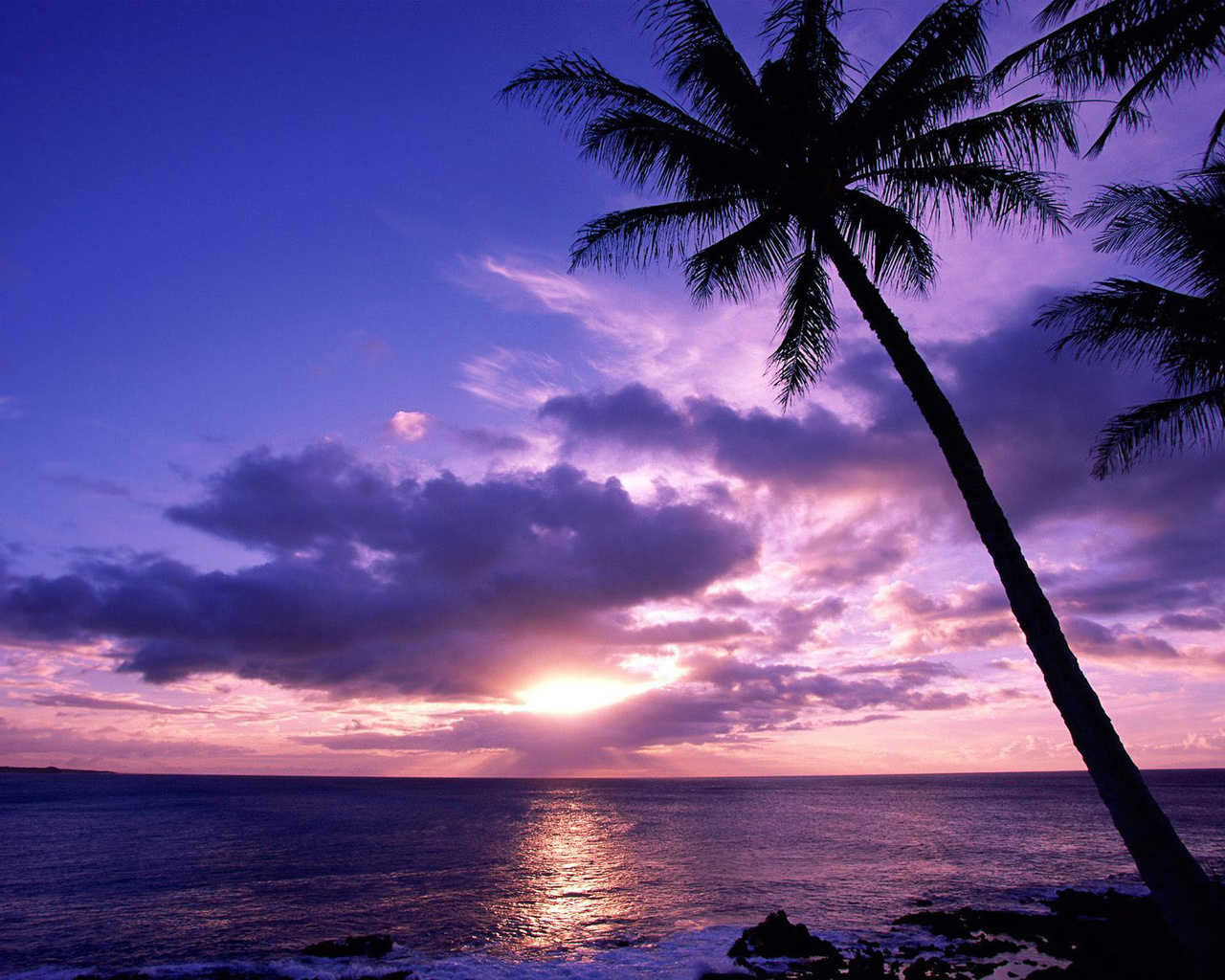 tropical beach sunset wallpaper 3