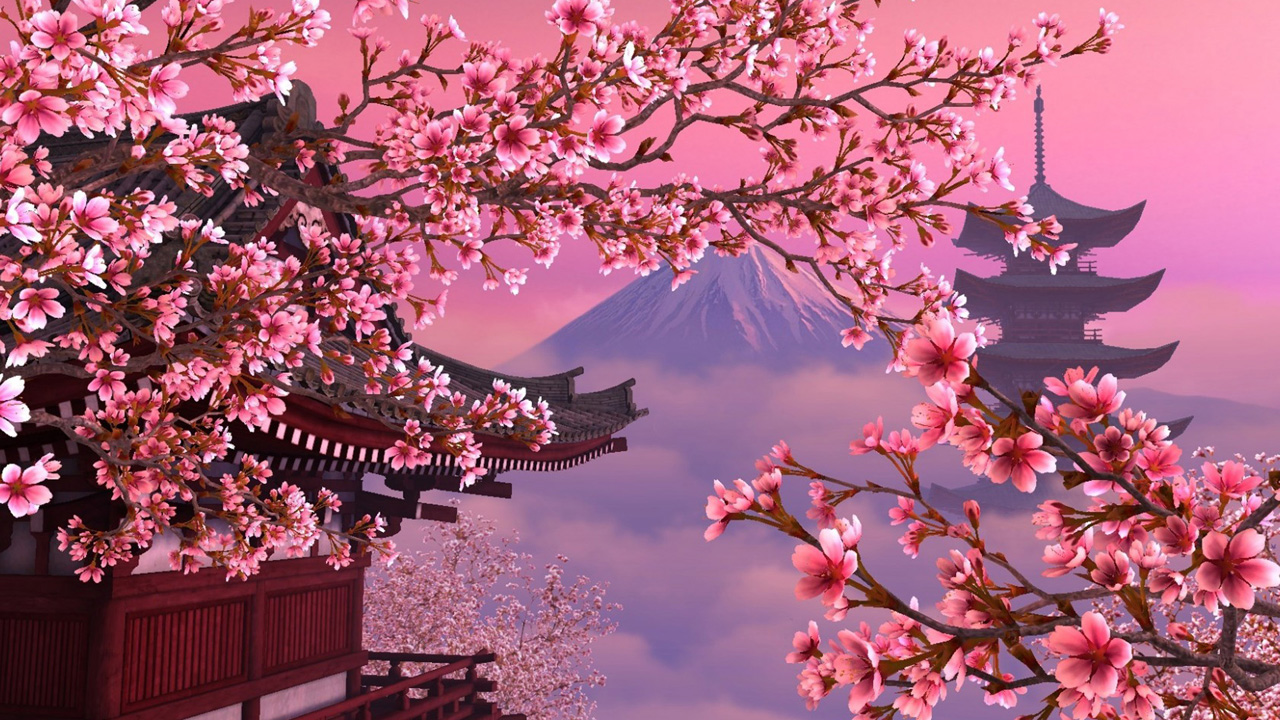 Pink Cherry Blossoms Wallpaper Hd Desktop