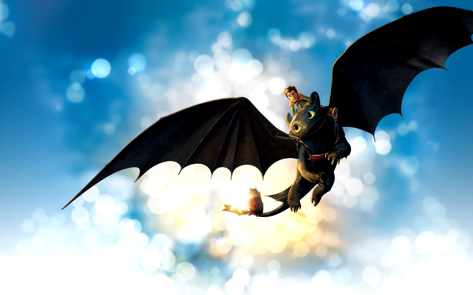 How To Train Your Dragon Wallpaper Toothless Widescreen