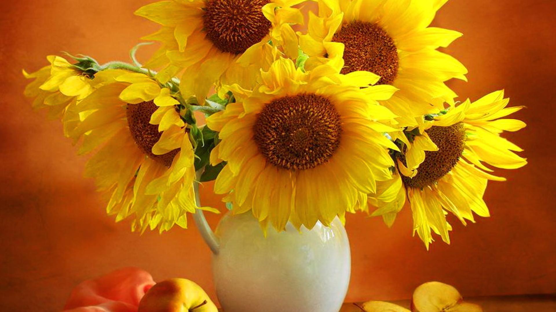 Yellow Flowers In Vase Desktop Wallpaper Background