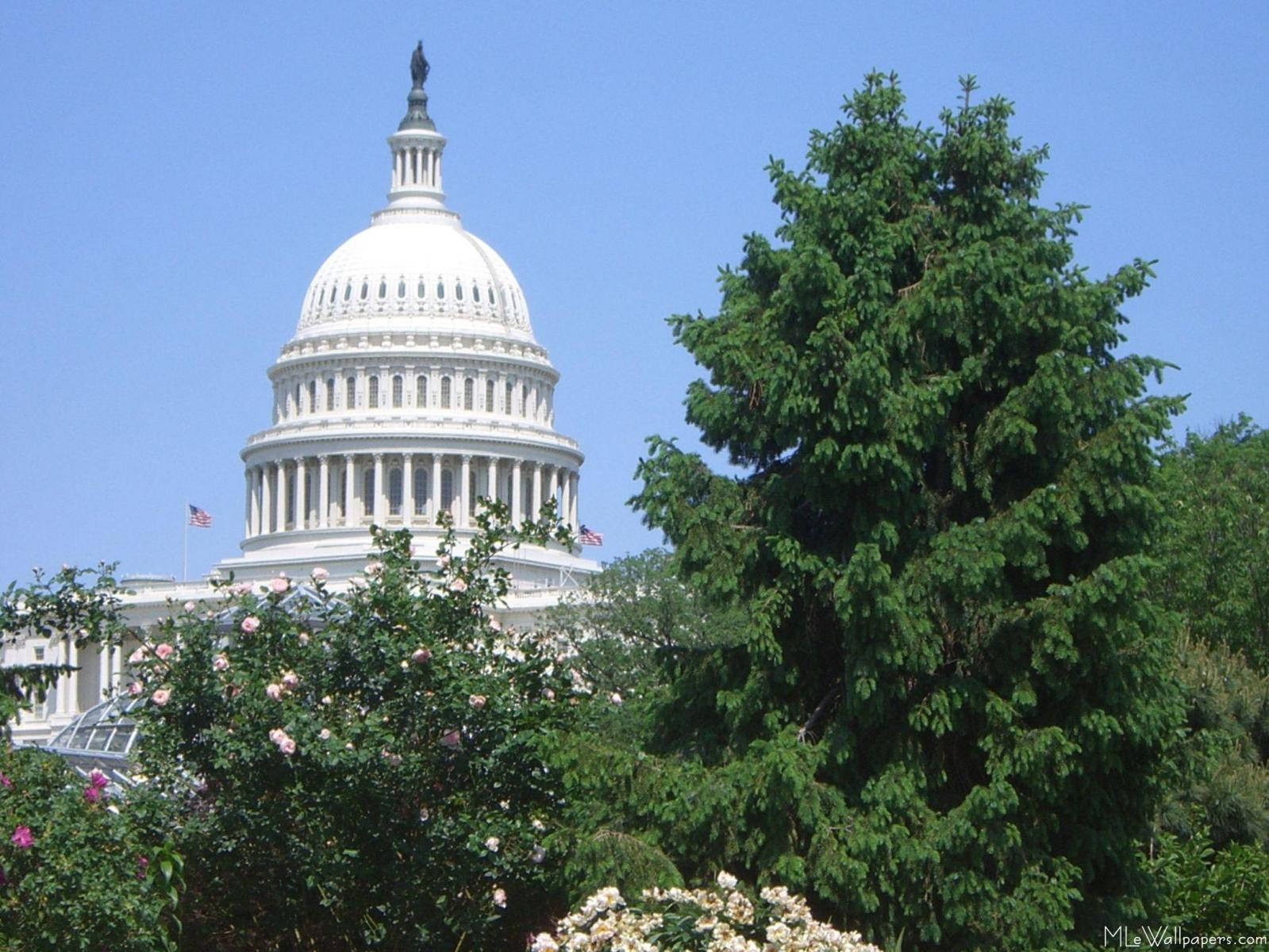 Capitol Hill HD Wallpaper