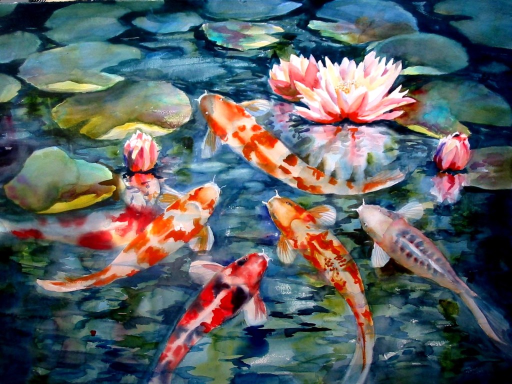 Koi Fish HD Wallpaper Pictures In High Definition Or