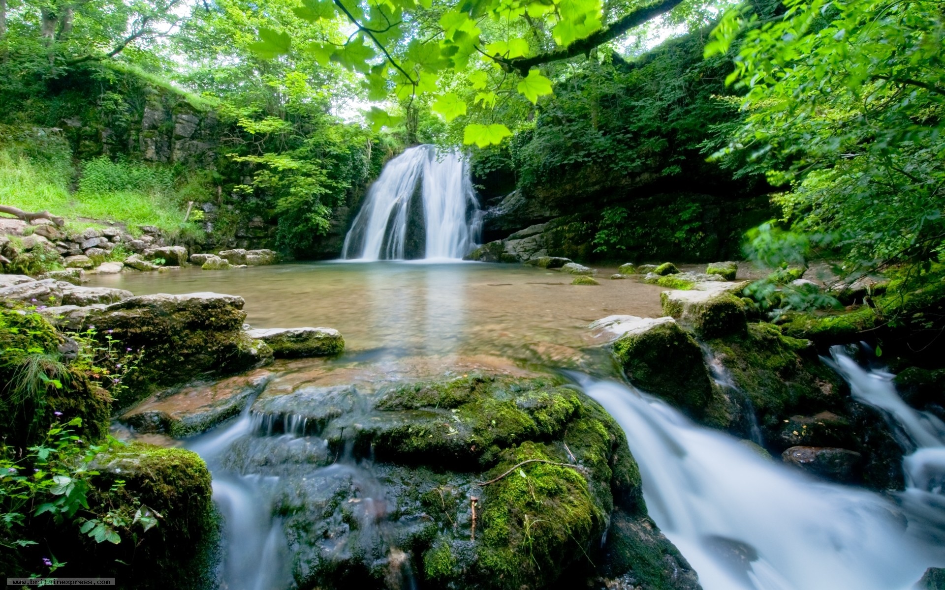 Scenic waterfall cascading into a tranquil pool in a lush green forest