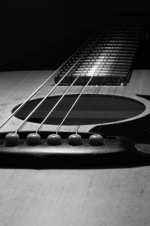 wallpaper iPhone Hot Guitar prcdent 640x960