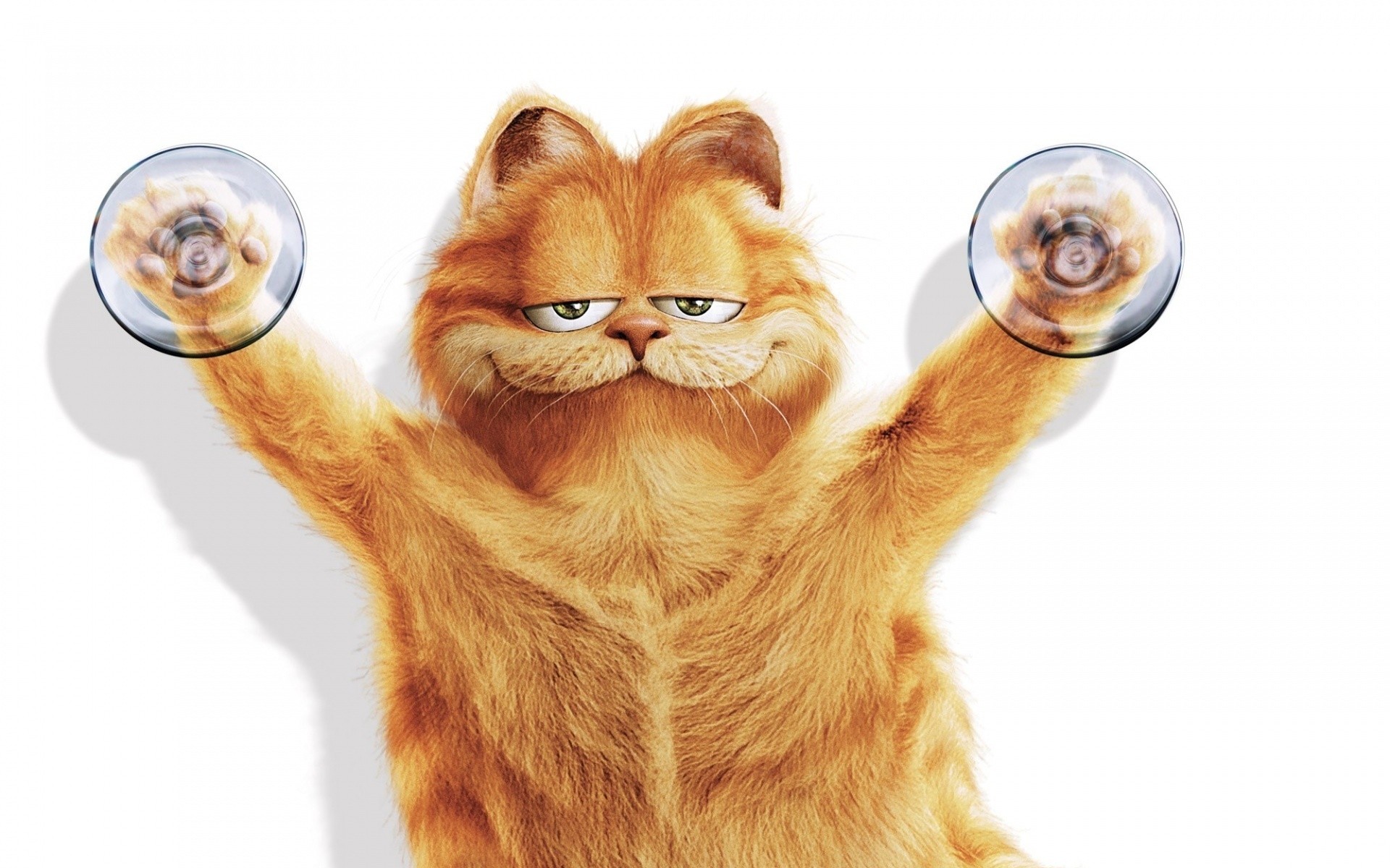Garfield And Friends Desktop Wallpaper Movie