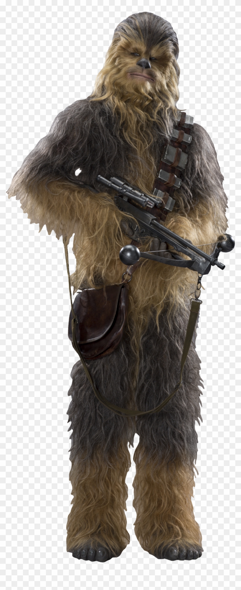 Chewbacca Star Wars Characters No Background HD Png