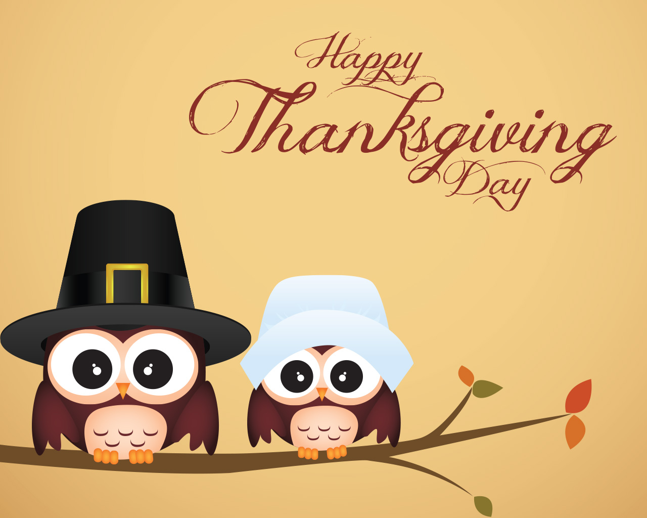 Owl Thanksgiving Wallpaper Android Wallpaperlepi