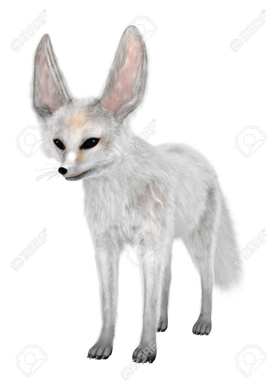 3d Rendering Of A Fennec Fox Isolated On White Background Stock