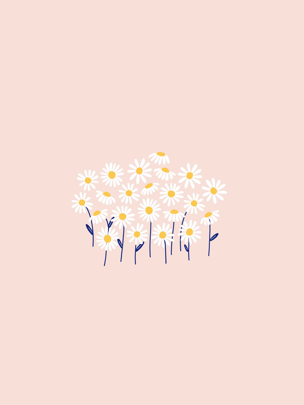 Free download Daisy desktop tablet and phone wallpaper Daisy ...