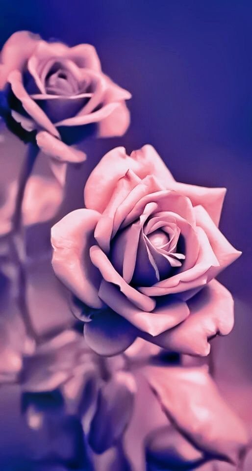 Wallpaper For Girls Artofit