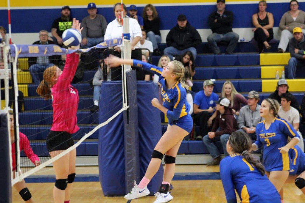 Newport News Times Toledo Girls Volleyball Given All State Nod