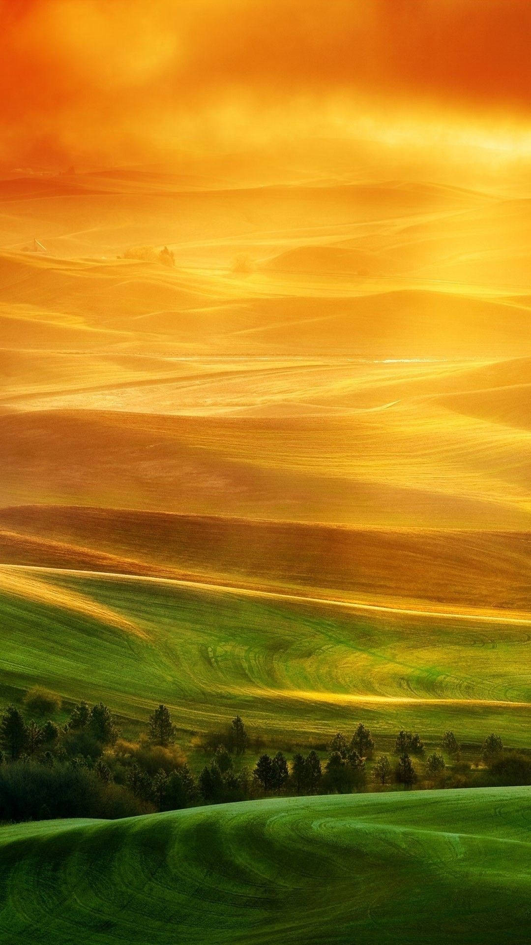 Nature Phone Wallpaper