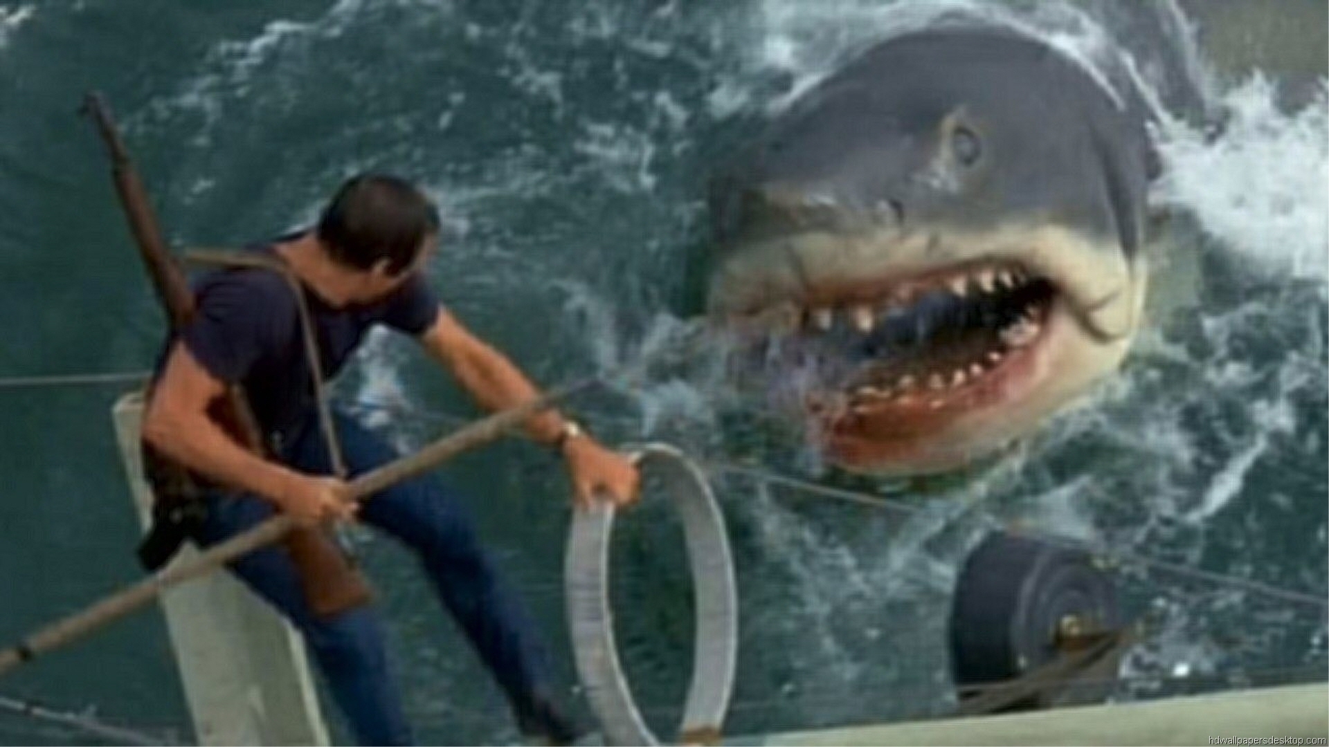 Jaws Wallpaper HD Movie Full 1080p