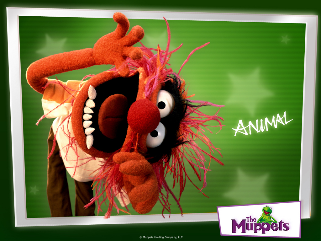 Animal The Muppets Wallpaper