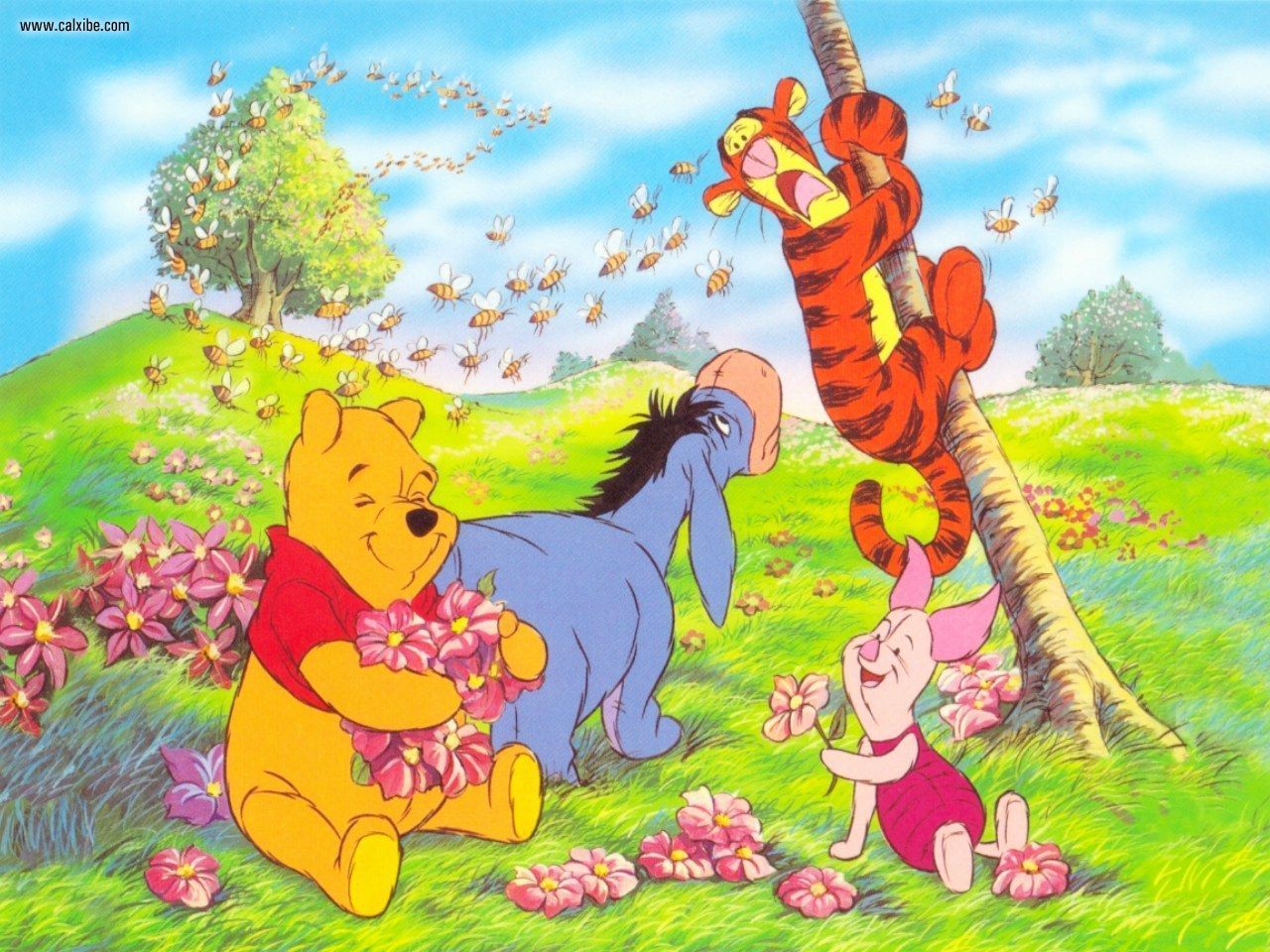 Miscellaneous Winnie The Pooh Picture Nr