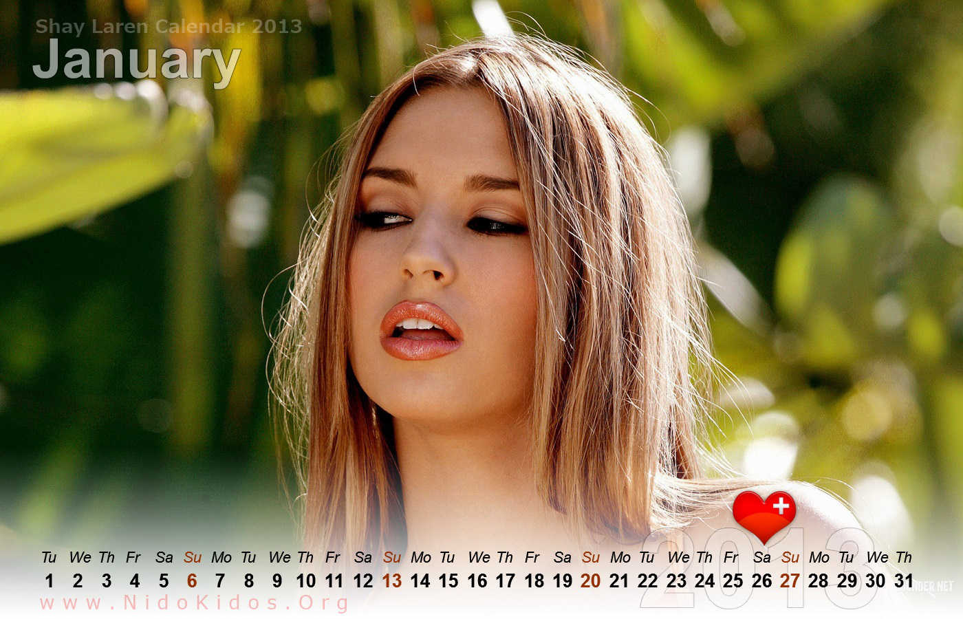 Shay Laren Wallpaper Collection For