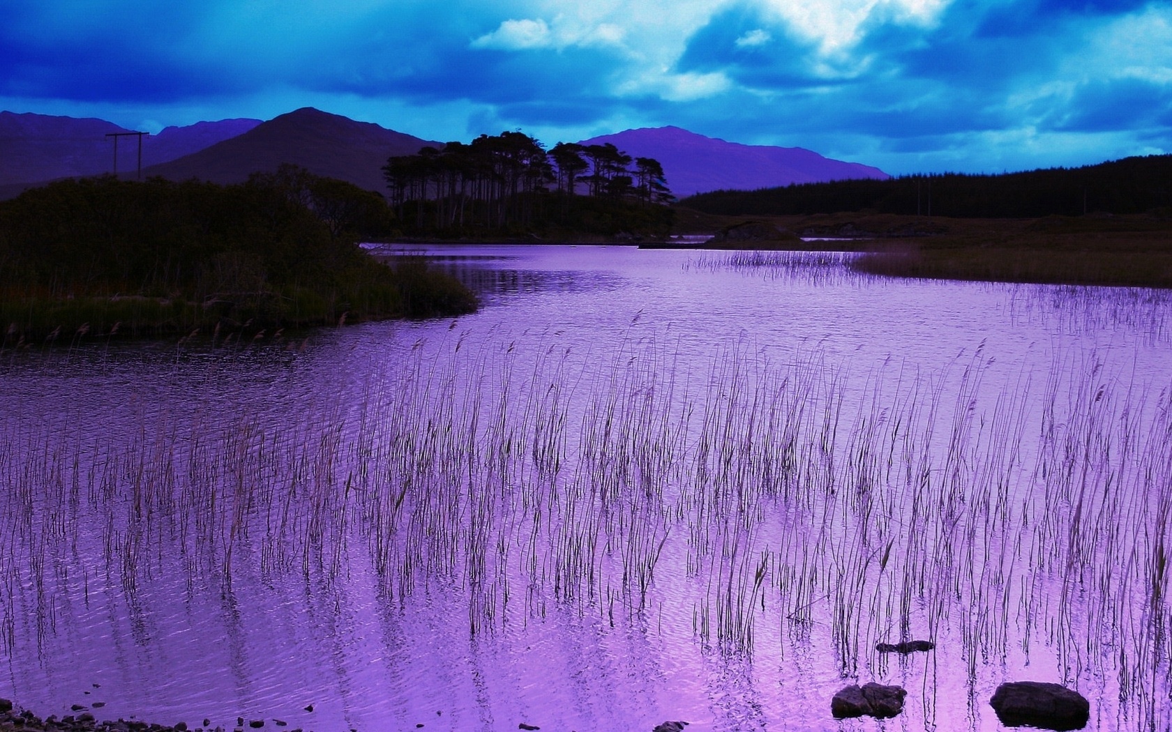 Lake Purple Water Wallpaper