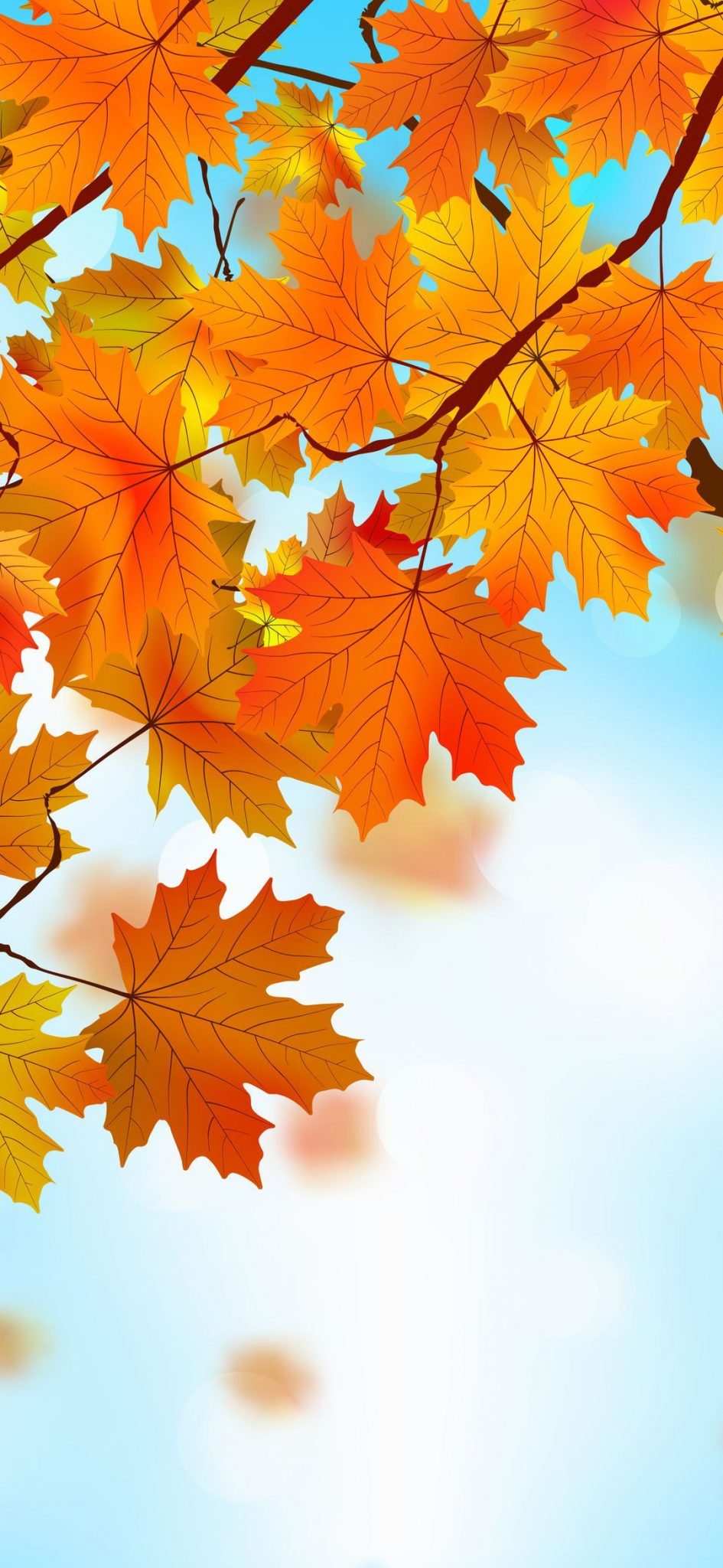 Autumn Phone Wallpaper