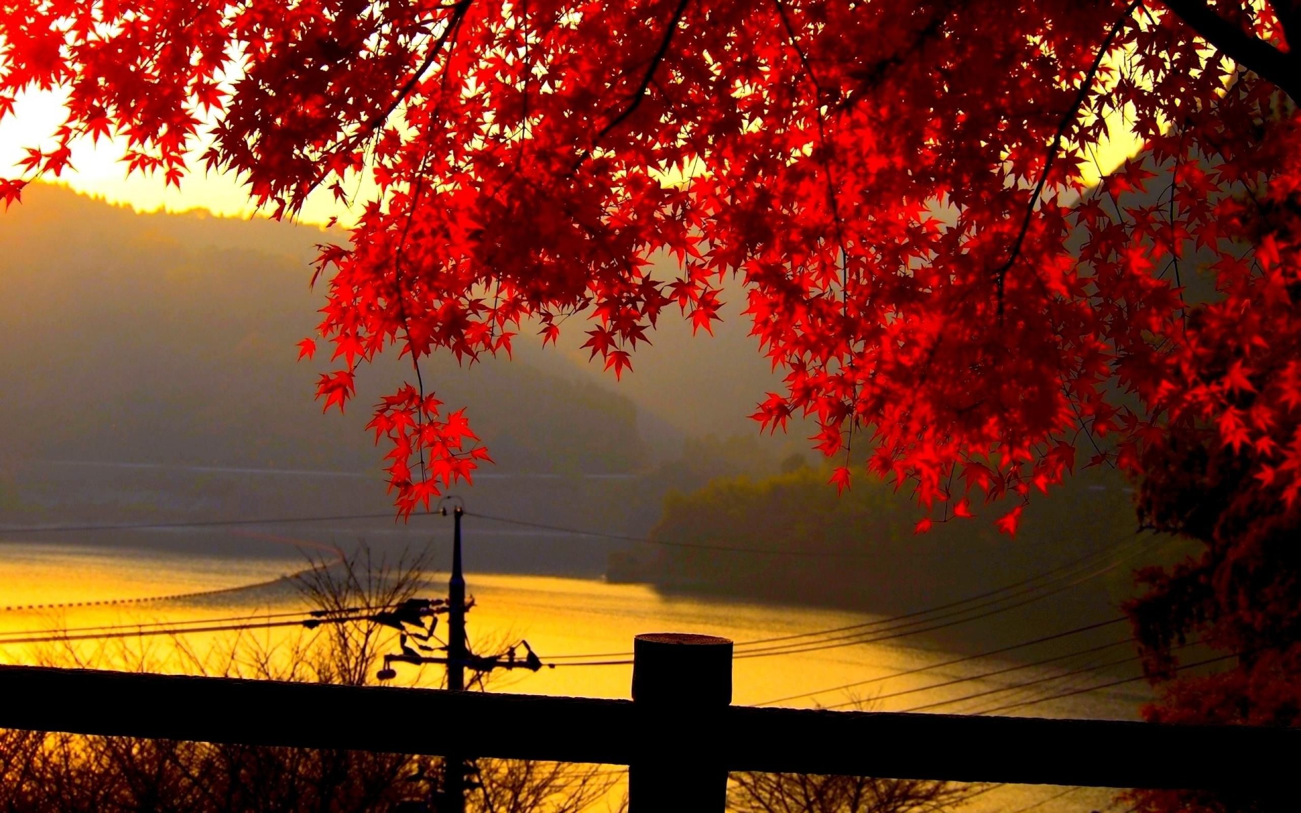 Autumn Landscape Wallpapers HD 27777 Wallpaper Download HD 2560x1600