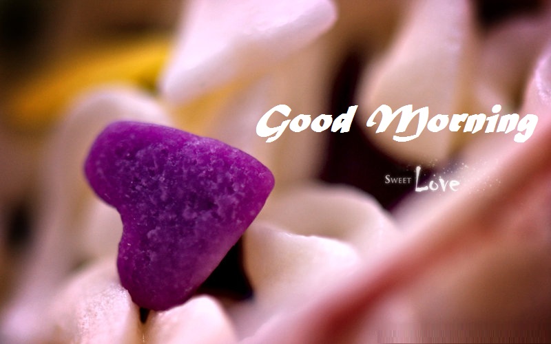Free Download Romantic Good Morning Love Wish 800x500 For Your