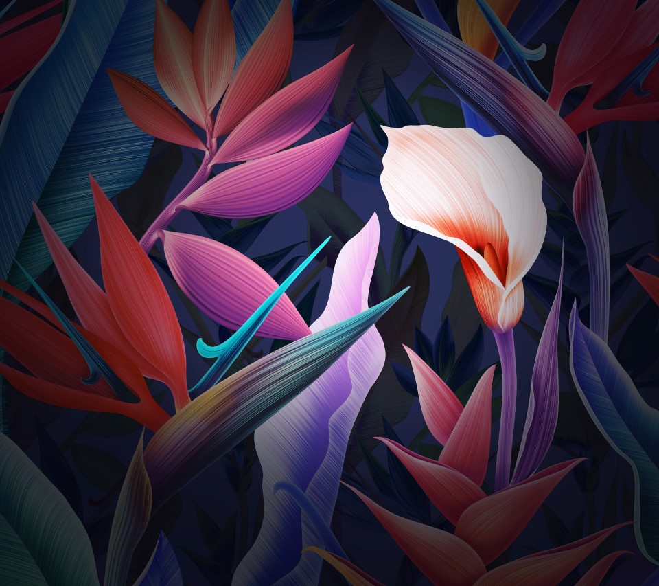 Download Huawei Mate 10 Mate 10 Pros new floral wallpapers here 960x853