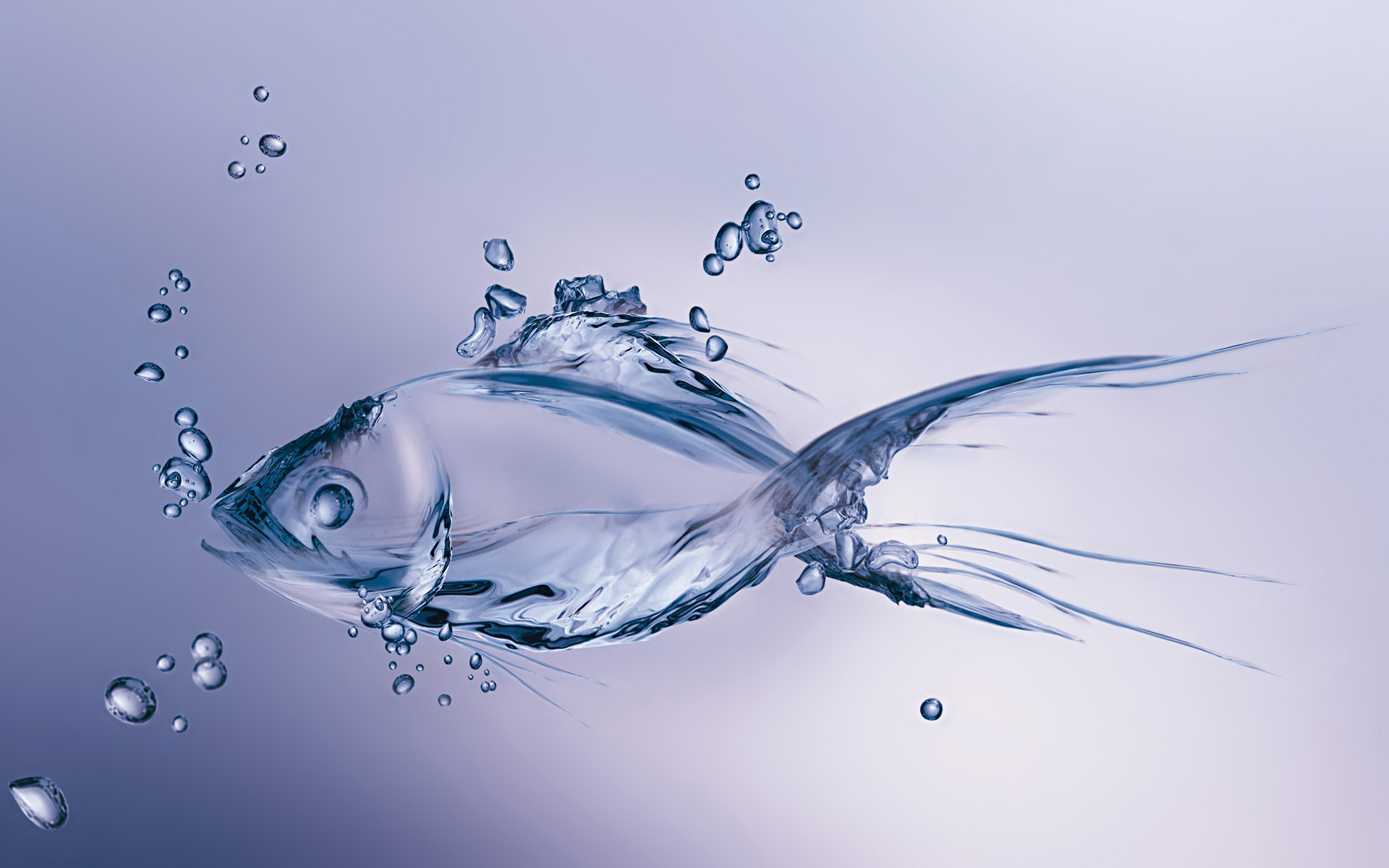 Water Fish HD Wallpaper