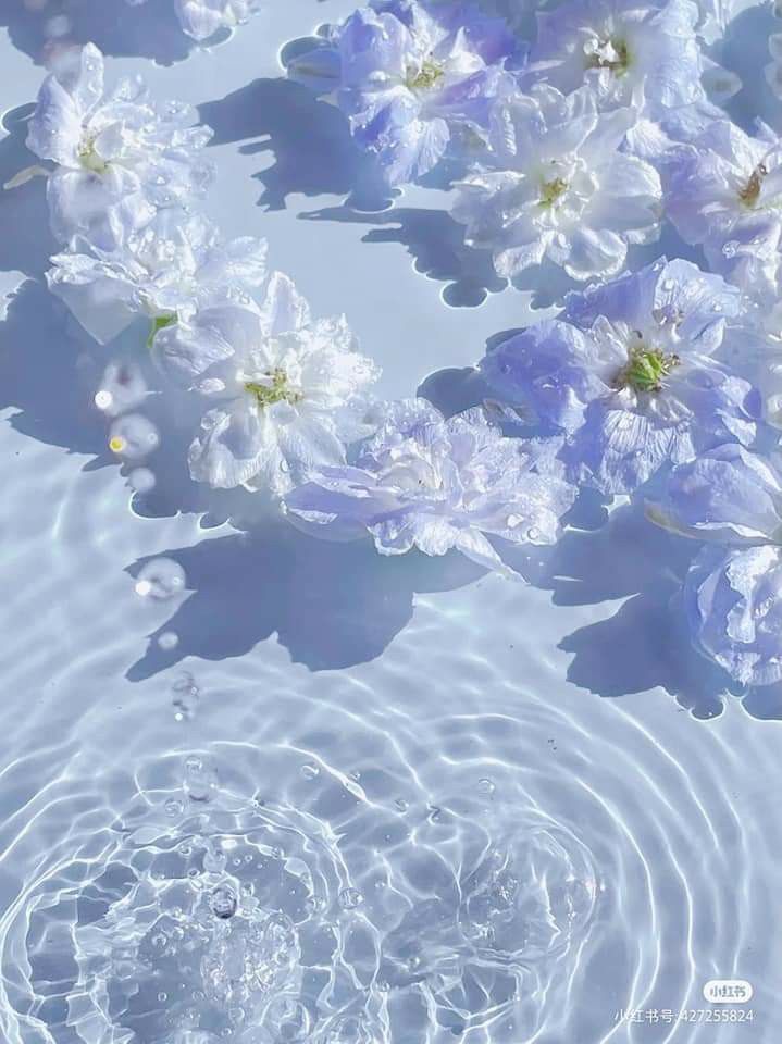 Winny On Flower Wallpaper
