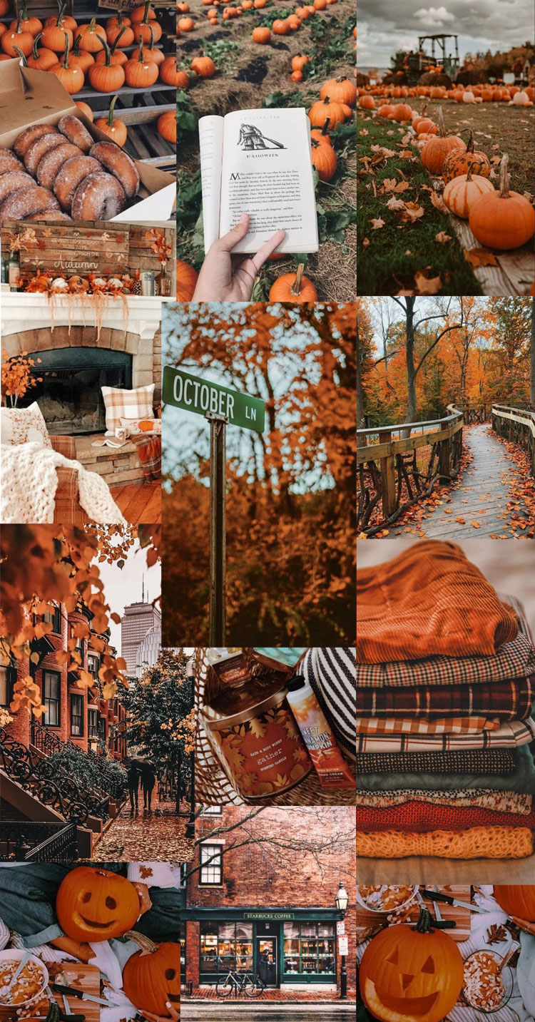 20 Autumn Collage Wallpapers Autumn in the city 1   Fab Mood
