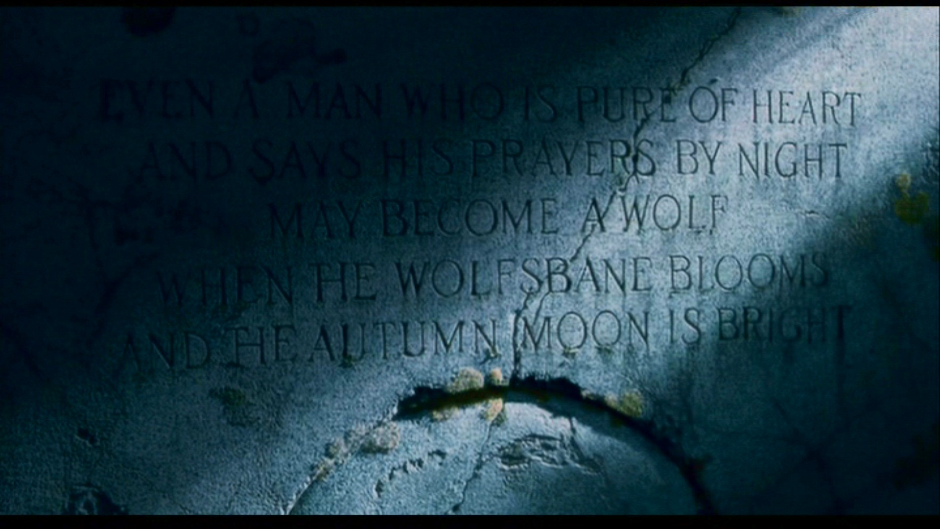 Movie The Wolfman Wallpaper