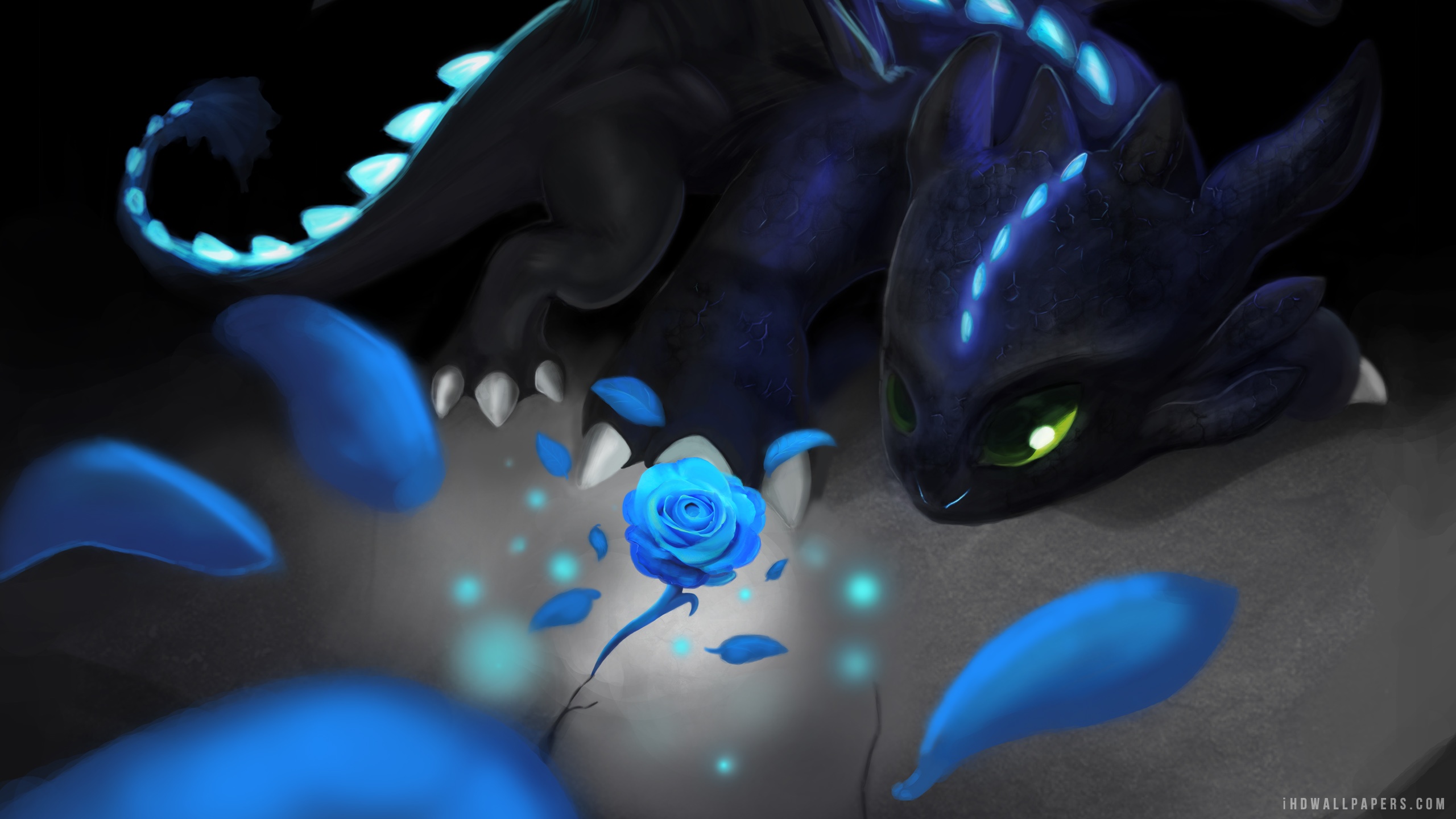 Toothless Wallpaper Fine HDq Pics Excellent