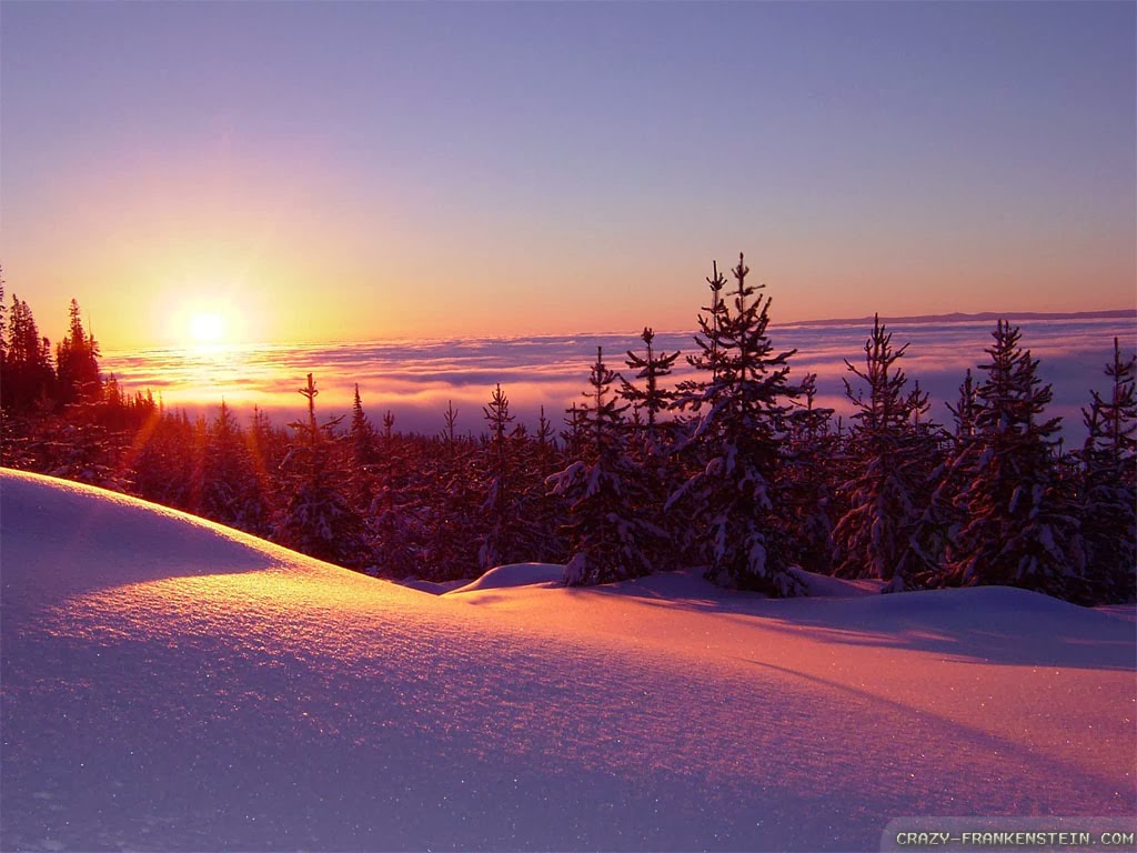 Winter Sunset HD Wallpaper For Your