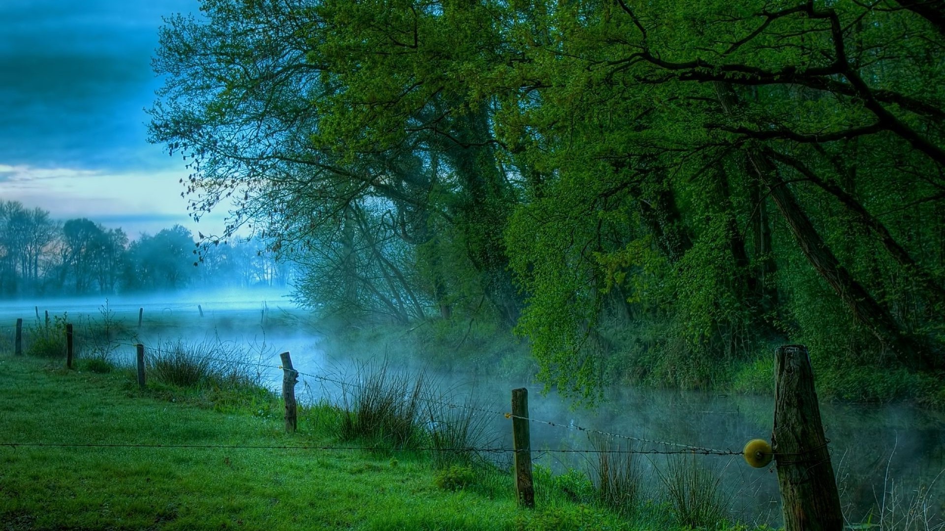 Misty morning in a tranquil natural landscape with a fence and lush green foliage