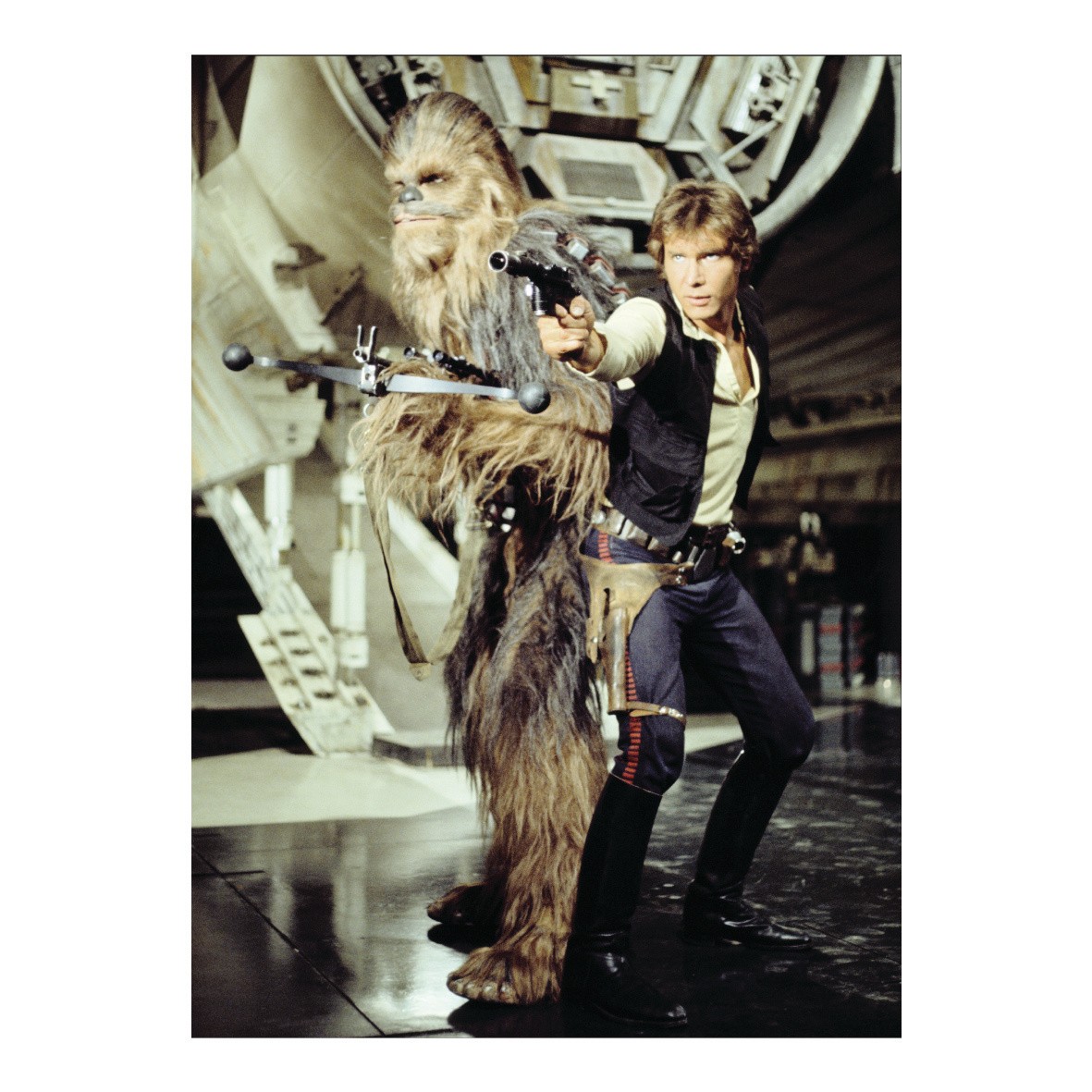 Chewbacca Han Solo Fridge Mag Buy Online Star Wars