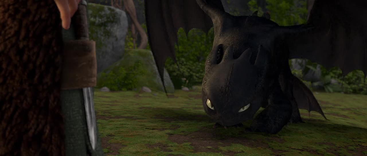 Toothless The Dragon HD Photo