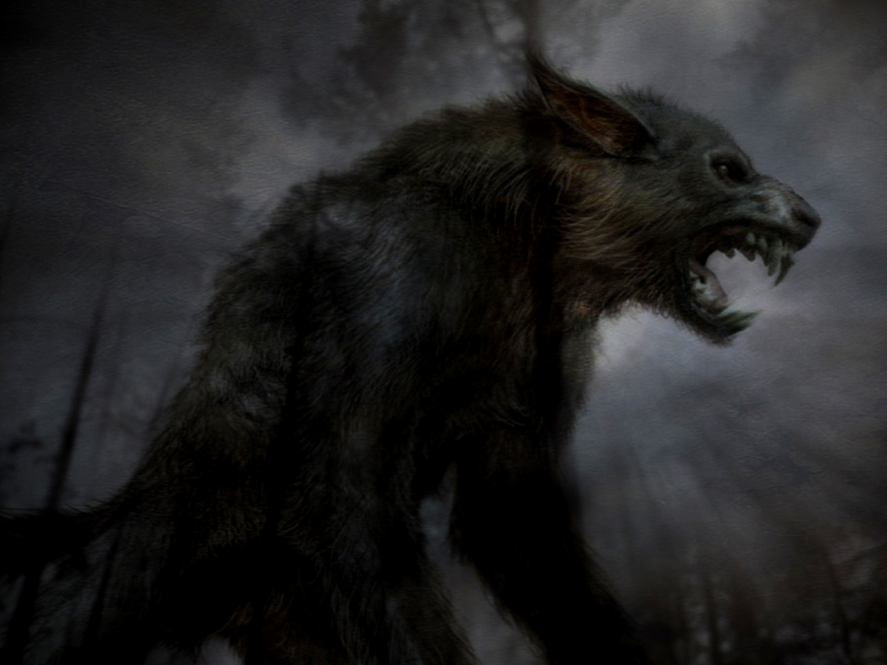 Werewolf HD Wallpaper Color Palette Tags Category General